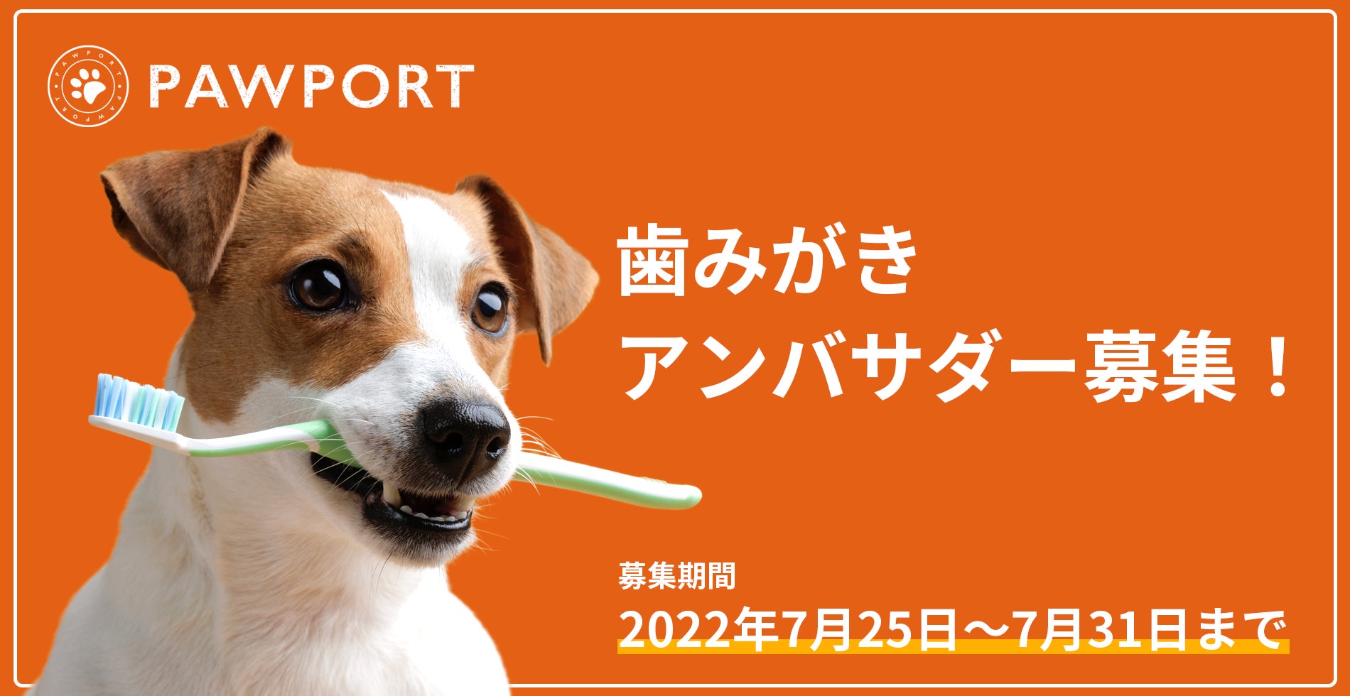 歯周病で歯を失う犬を減らそう Pawport歯磨きアンバサダー募集を開始 合同会社anienceのプレスリリース 歯周病で歯を失う犬を減らそう Pawport歯磨きアンバサダー募集を開始 合同会社anienceのプレスリリース