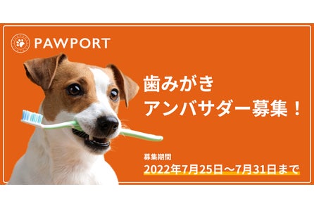 愛犬に科学的で倫理的な しつけ を 獣医師運営 完全オンラインドッグトレーニングサービス Pawport 提供開始 合同会社anienceのプレスリリース 愛犬に科学的で倫理的な しつけ を 獣医師運営 完全オンラインドッグトレーニングサービス Pawport 提供開始 合同会社anienceのプレスリリース