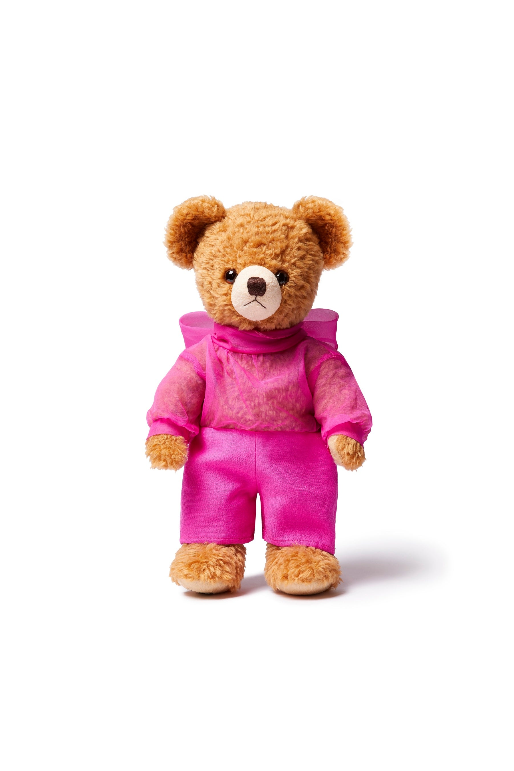 スタディベア　VALENTINO ヴァレンティノ ガラヴァーニ 'ロックスタッズ ペット' ポップアップ