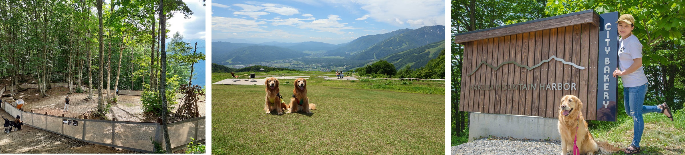 白馬岩岳マウンテンリゾート