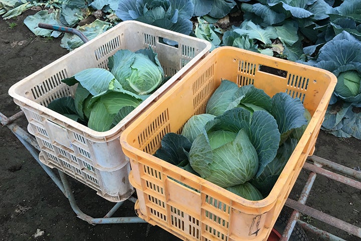 ※イメージ写真