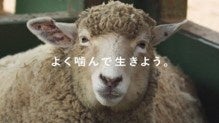 動画「よく噛んで生きよう。」