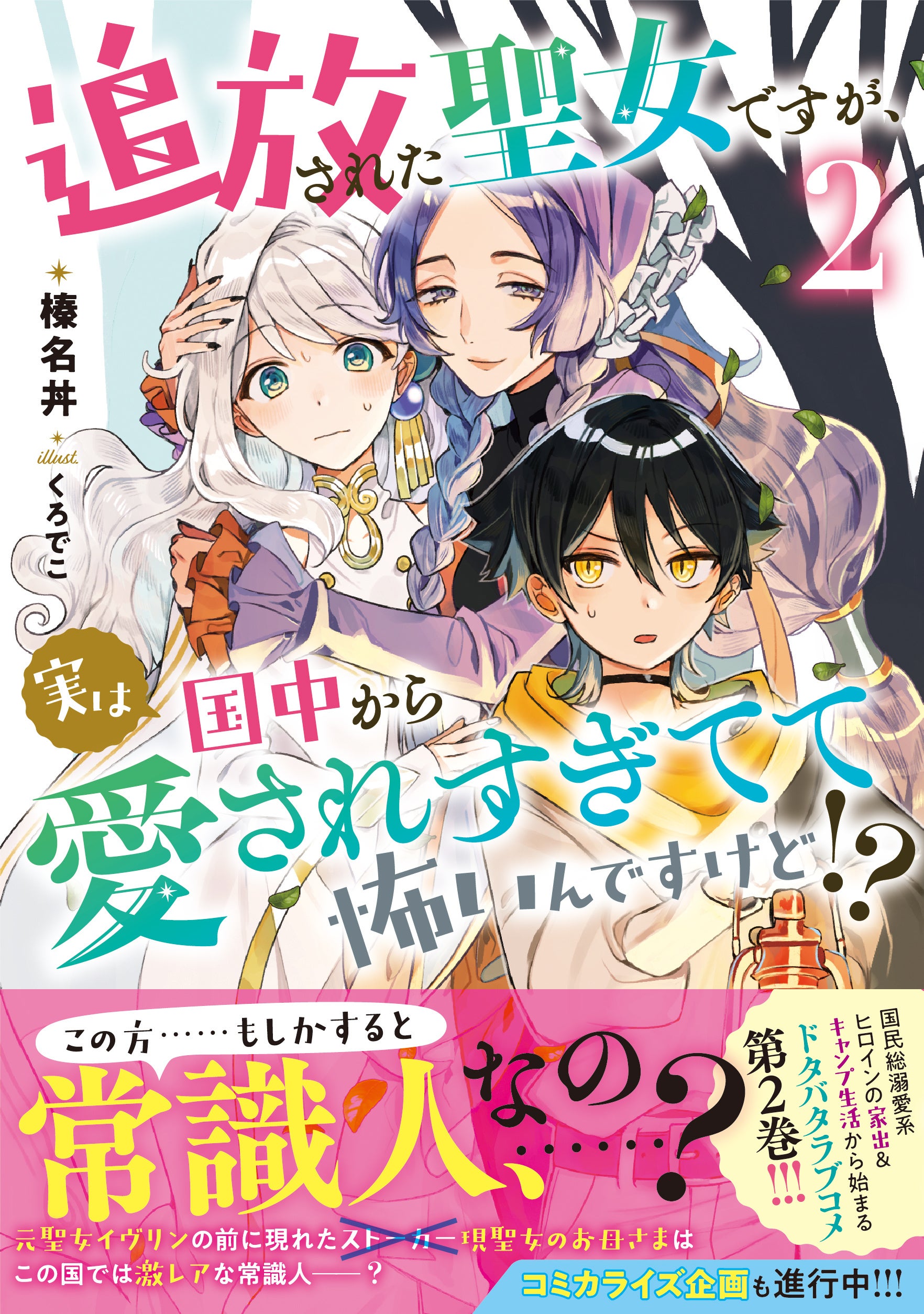 ​著者：榛名丼　イラスト：くろでこ　定価：1,320円(税込)