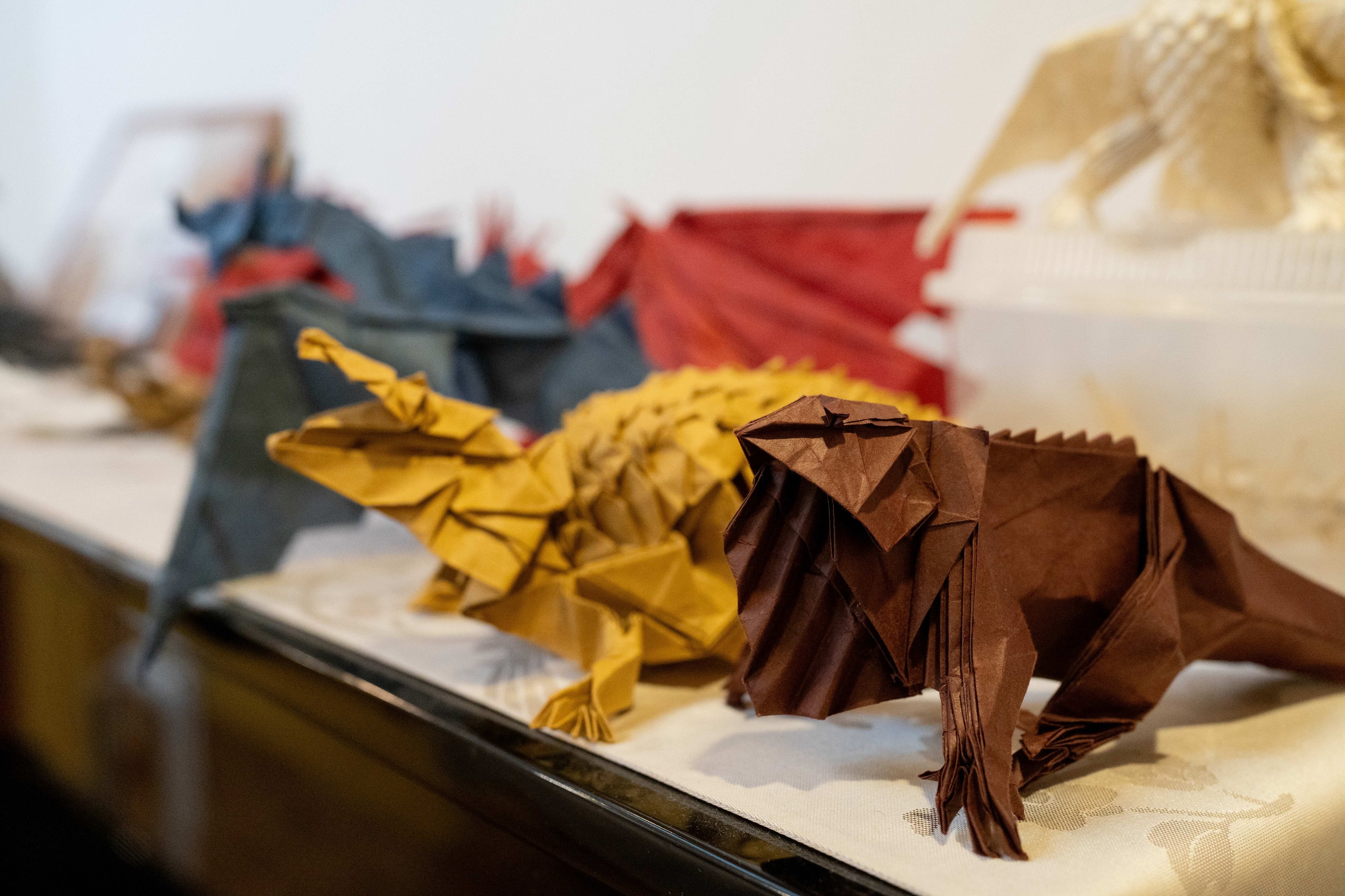 Newsletter vol.19表紙写真 ©︎Ryuto Sato