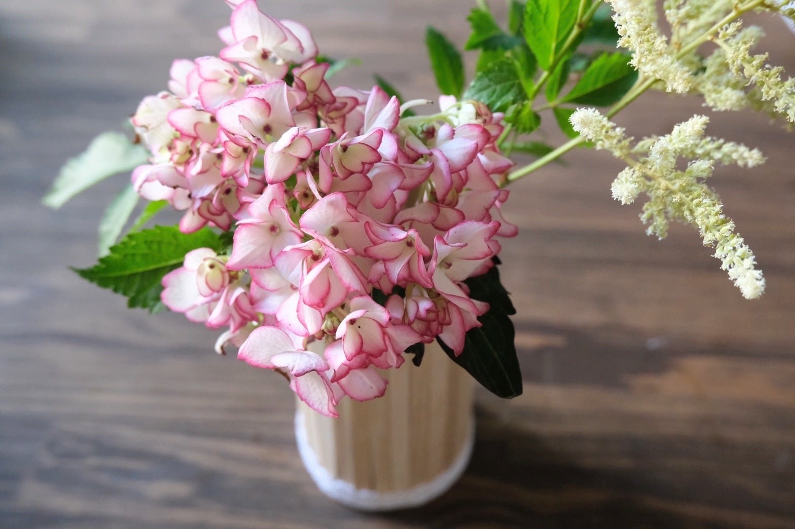 当日のイメージ