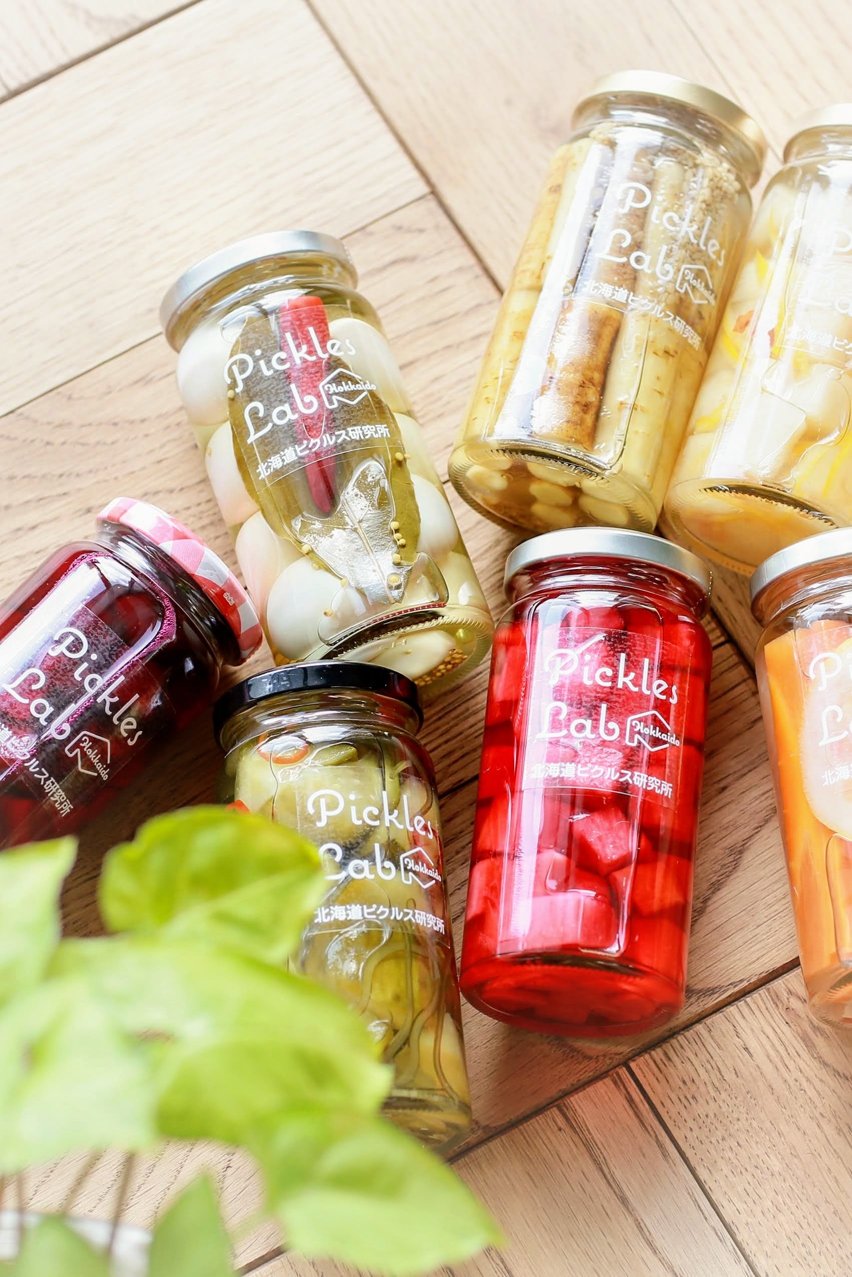 Pickles Lab Hokkaido