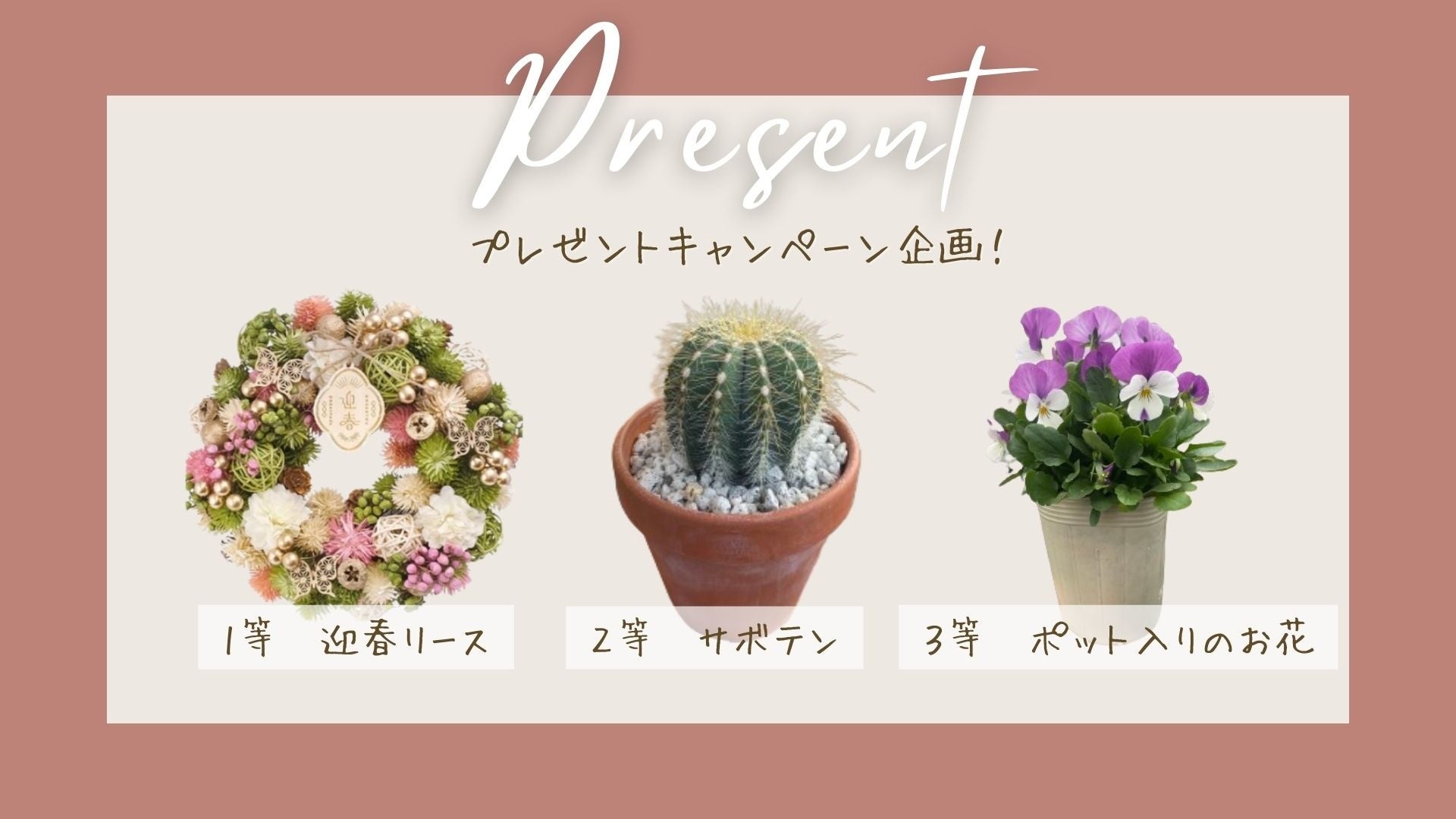 景品イメージ©SAWARISE