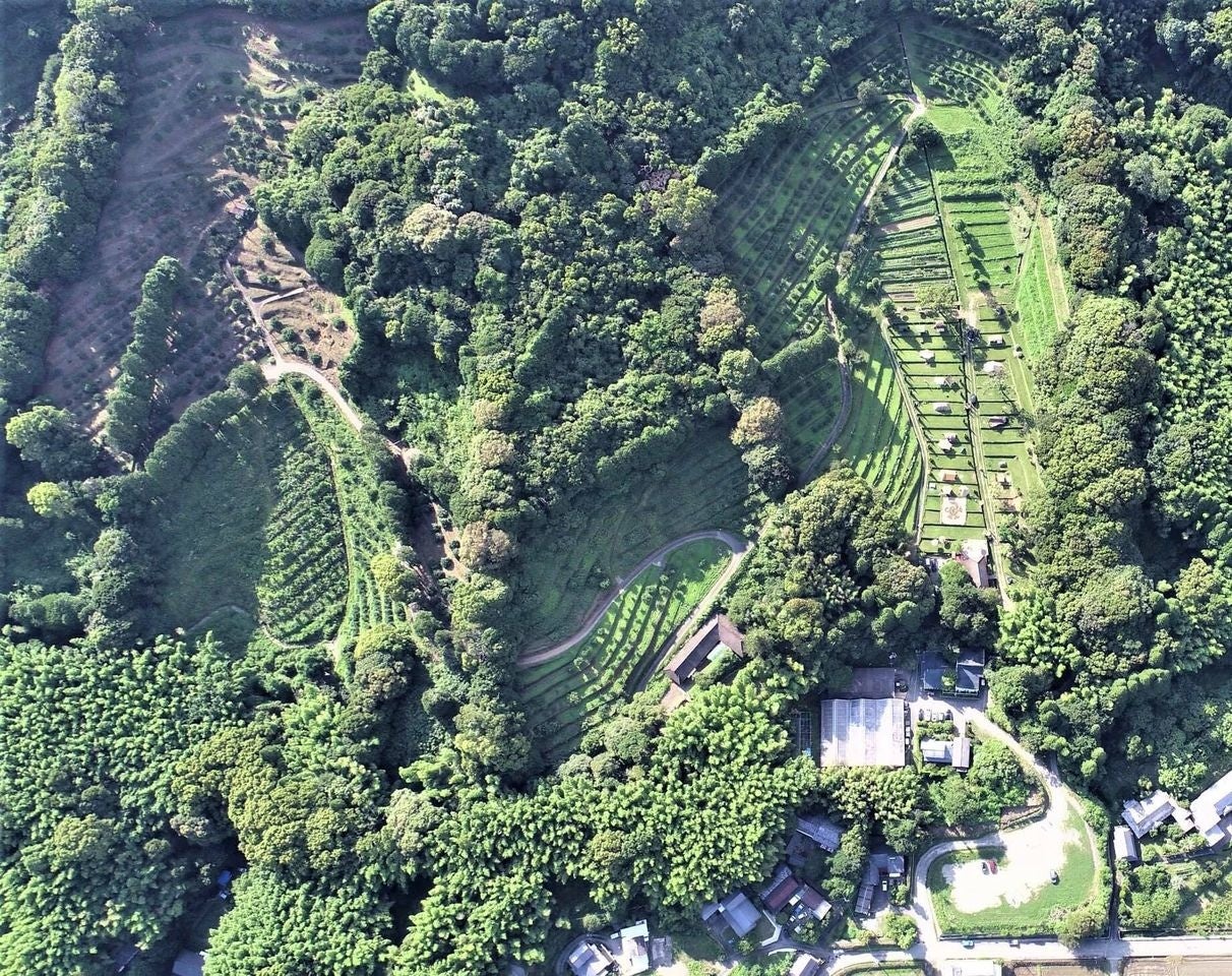 上空からの橘香園