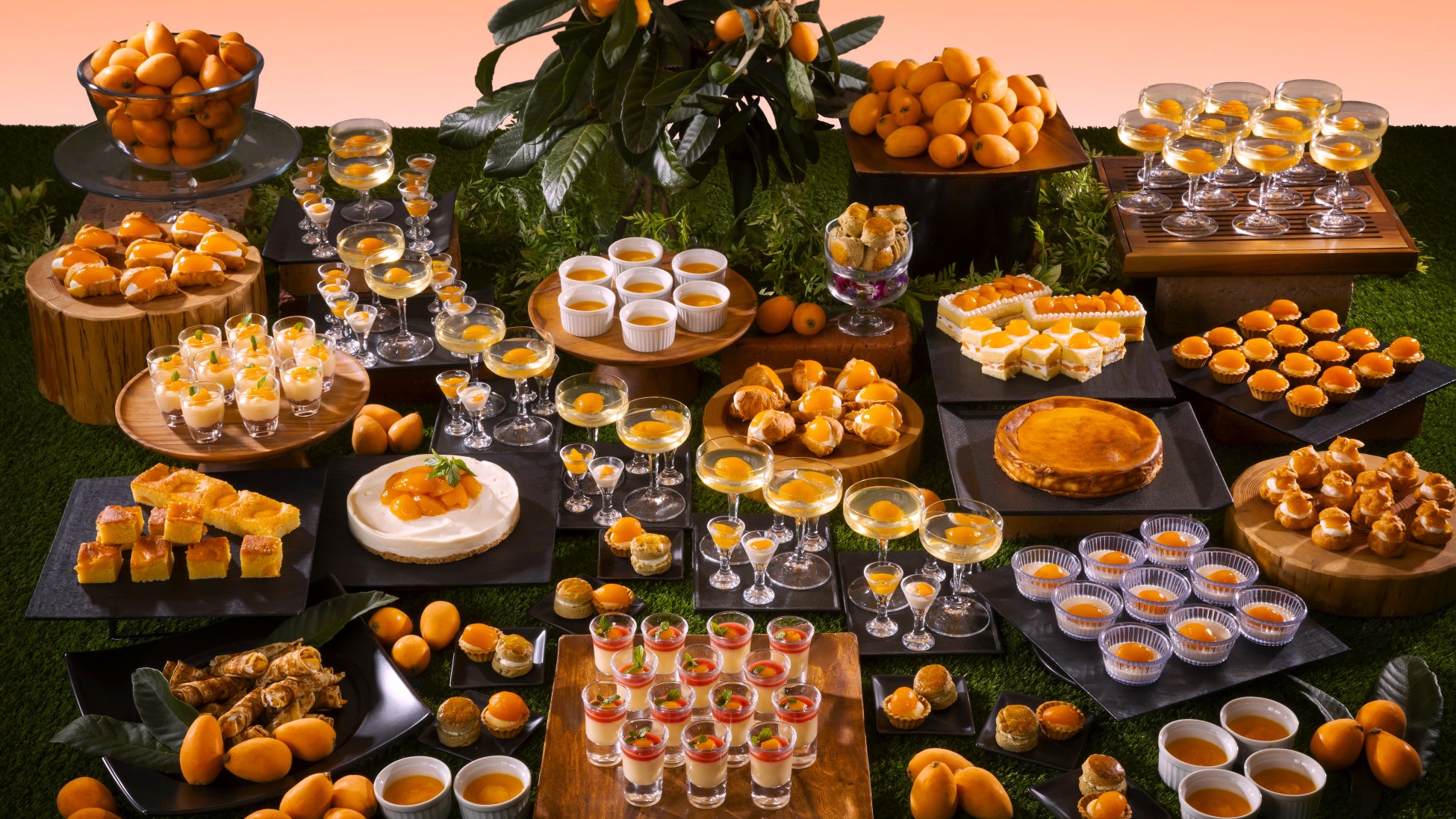 房州びわSweets Buffet & Lunch Course ~初夏のあじわい、千葉の特産品 房州びわをふんだんに使ったスイーツビュッフェ(イメージ)~