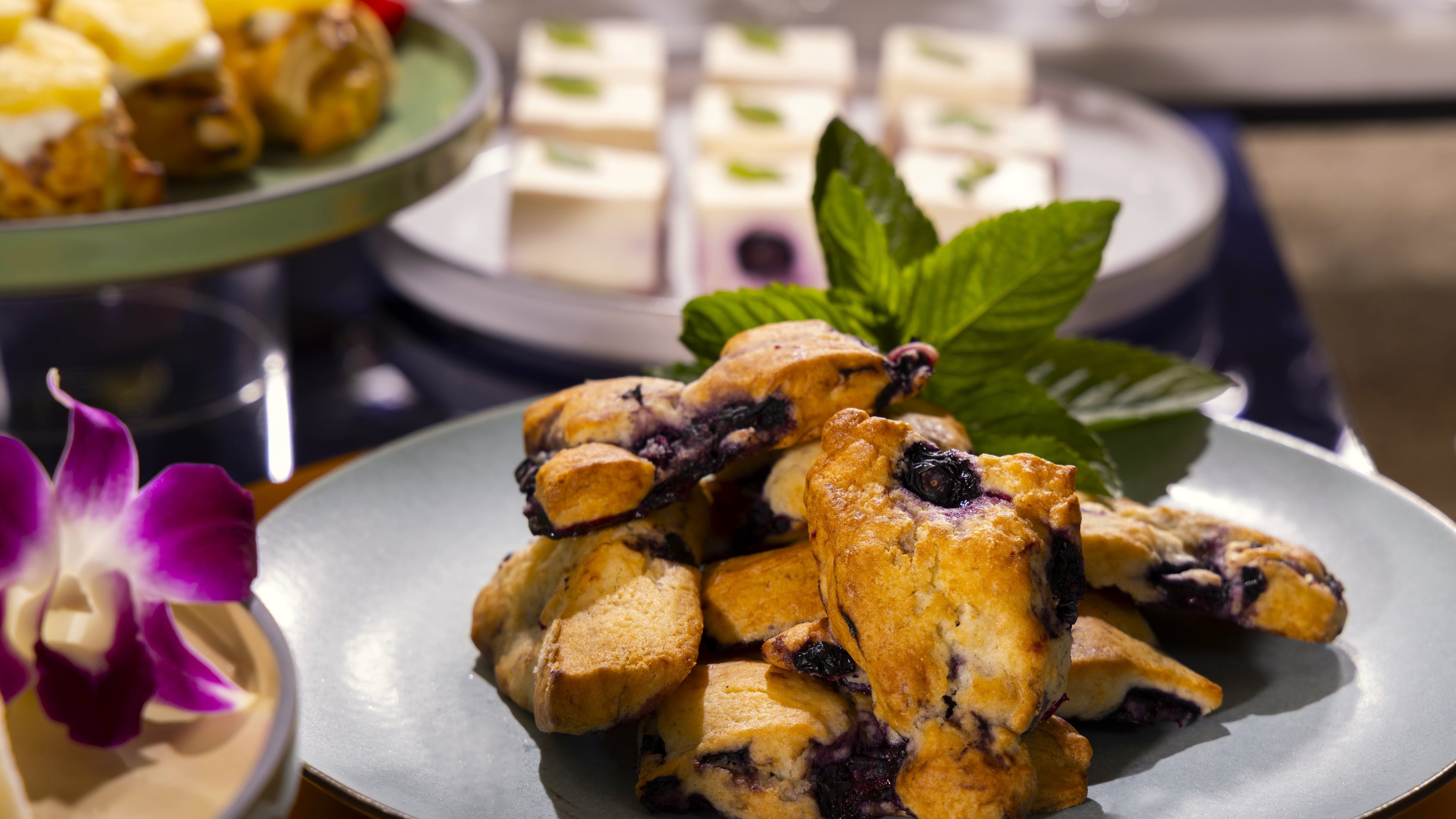 鴨川市の長狭地区で採れるブルーベリーを使ったスコーンやレアチーズケーキなどもご用意。地元の魅力をお届けいたします