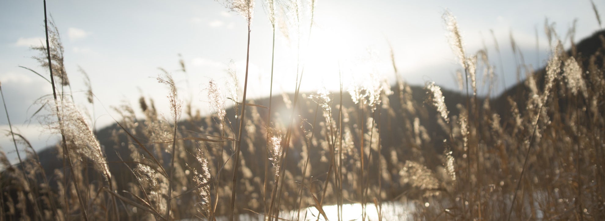 「あたりまえ」を変えていく― 脱炭素の実現 ―