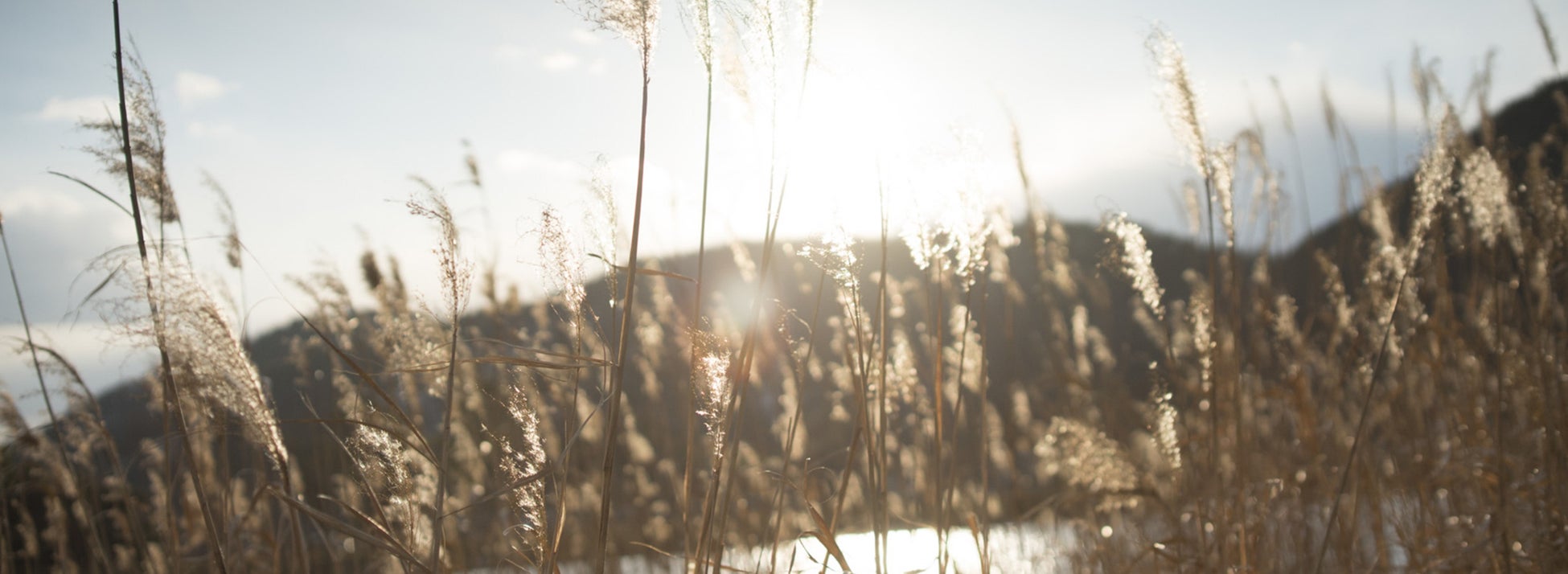 「あたりまえ」を変えていく― 脱炭素の実現 ―