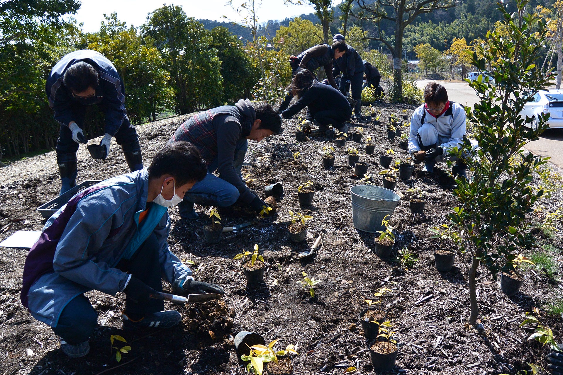 ▲ラ コリーナ敷地内の植樹の様⼦
