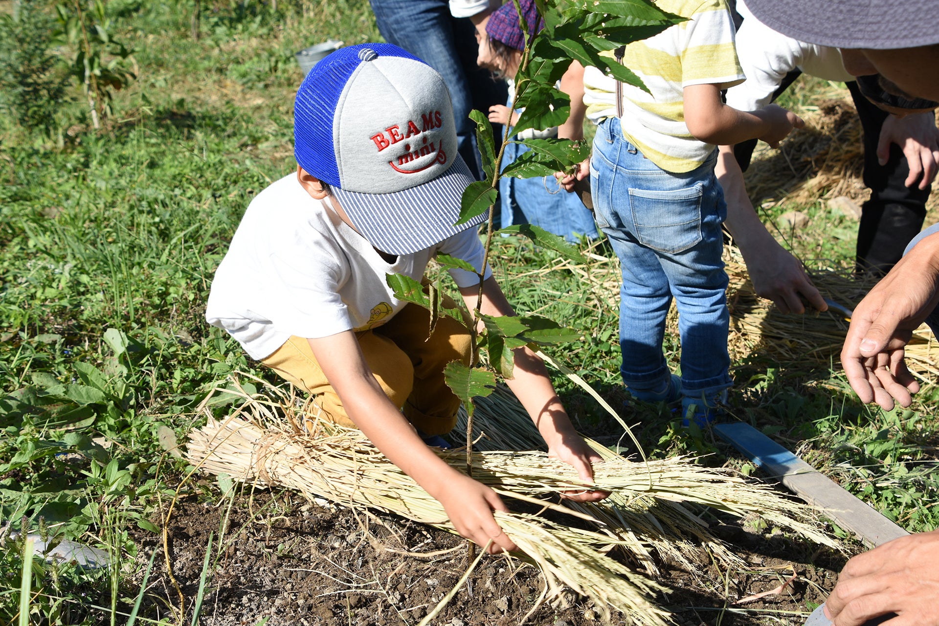 たねや みんなでつくる森プロジェクト