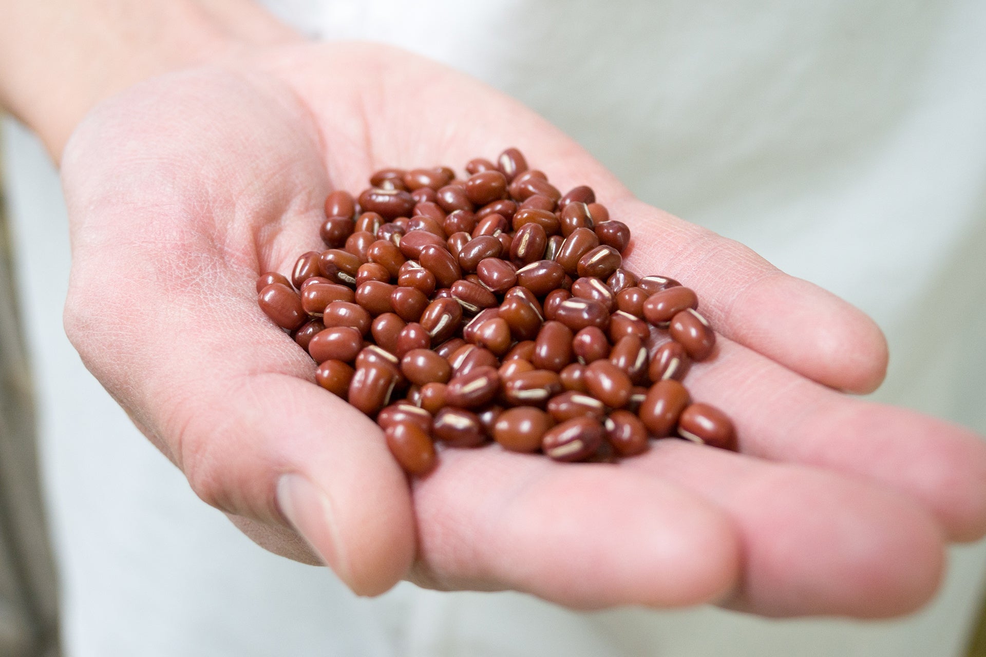 素材を活かすこれからのお菓子づくり（たねや）