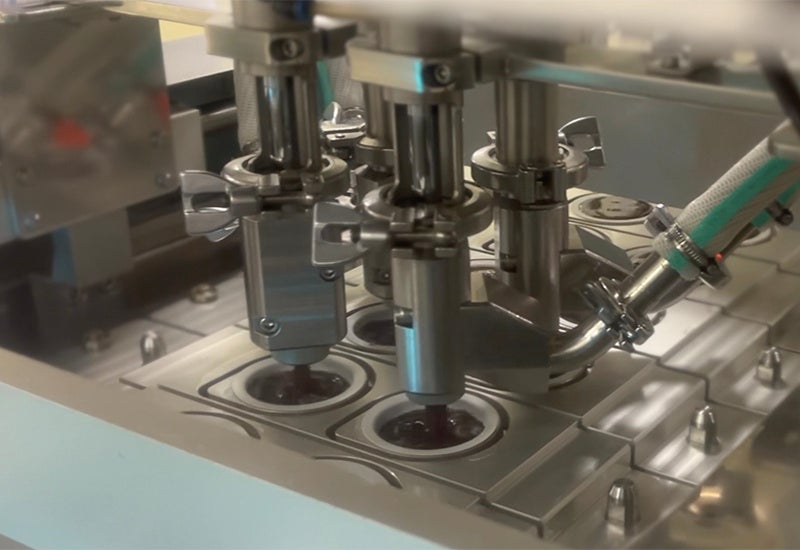 本生羊羹の充填（じゅうてん）