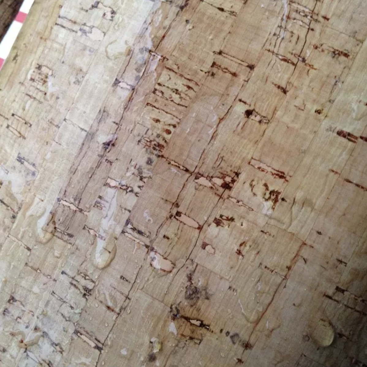 水をはじくコルク