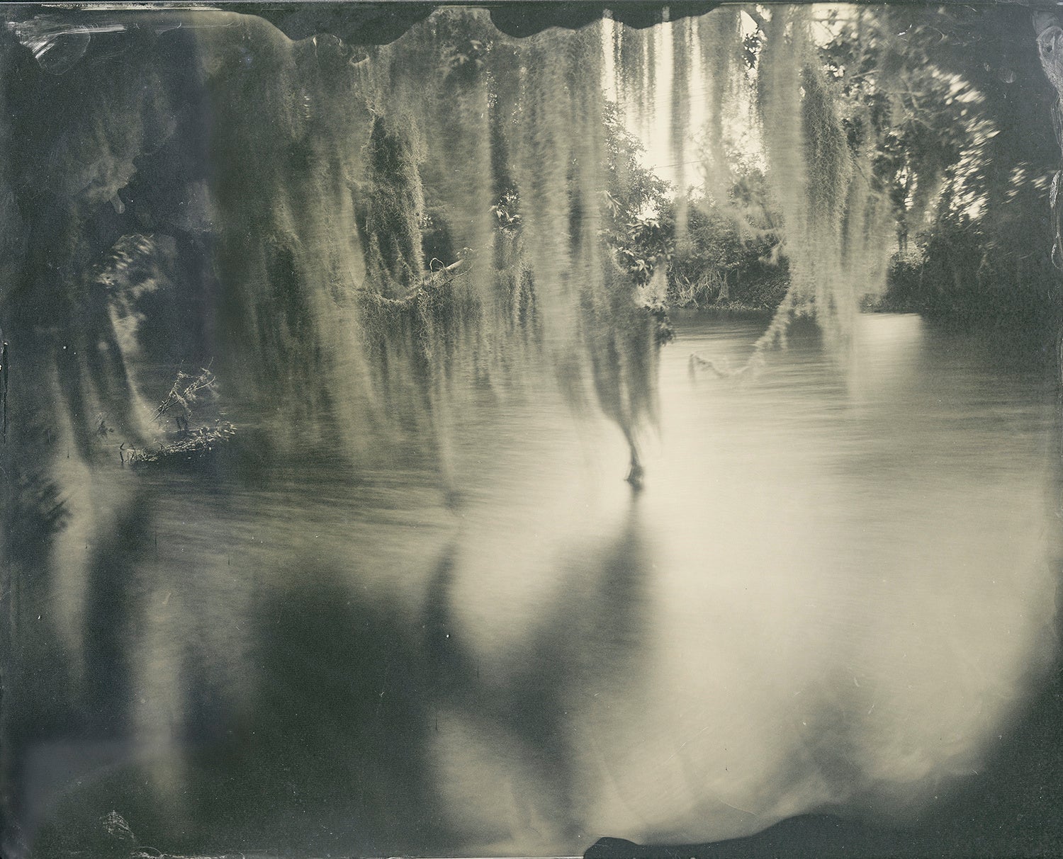 Yojiro Imasaka #42, 2021, Photograph, Toned Gelatine Silver Print Wet Plate Collodion Process 135cm x 168cm
