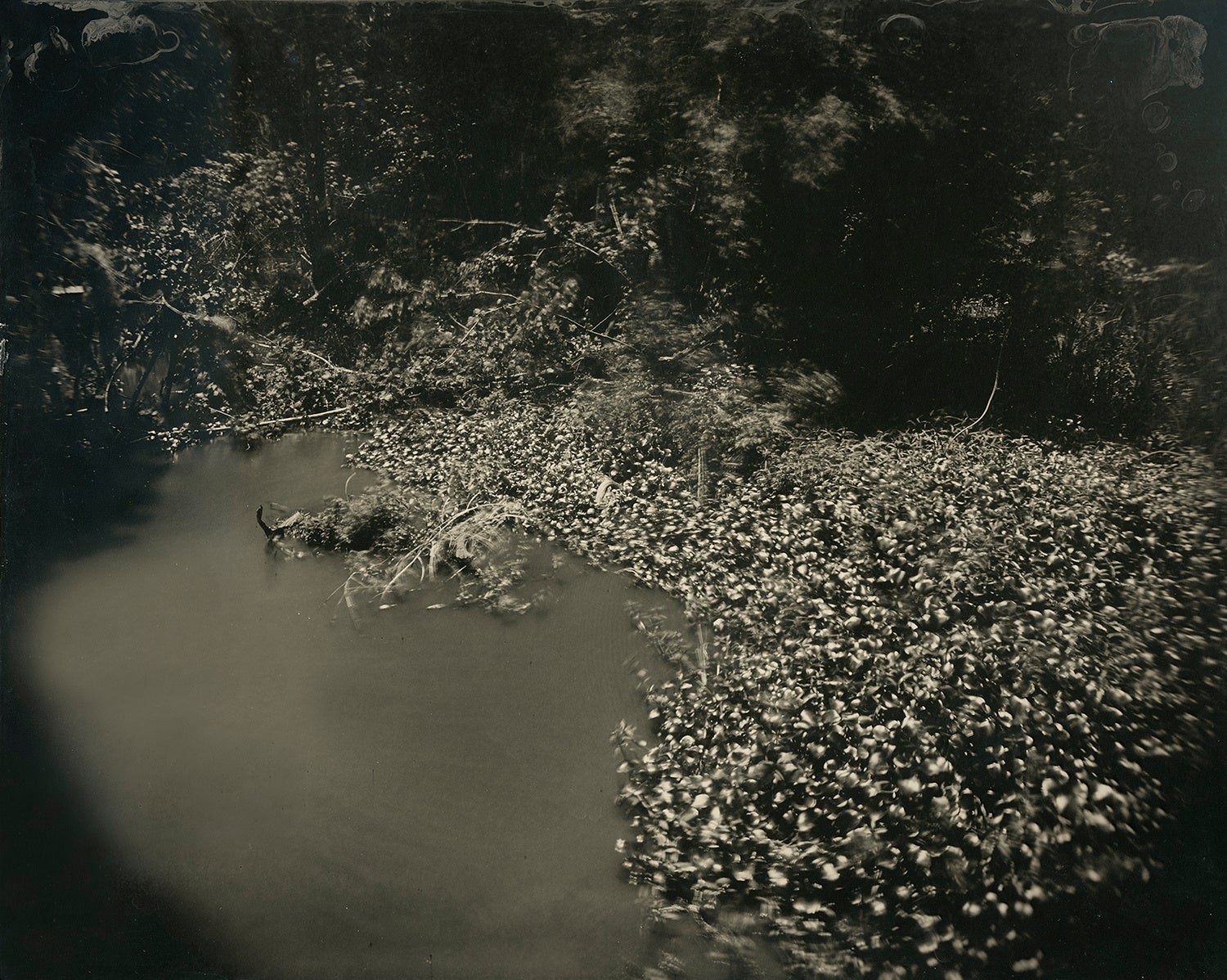 Yojiro Imasaka #62, 2021, Photograph, Toned Gelatine Silver Print Wet Plate Collodion Process 135cm x 168cm