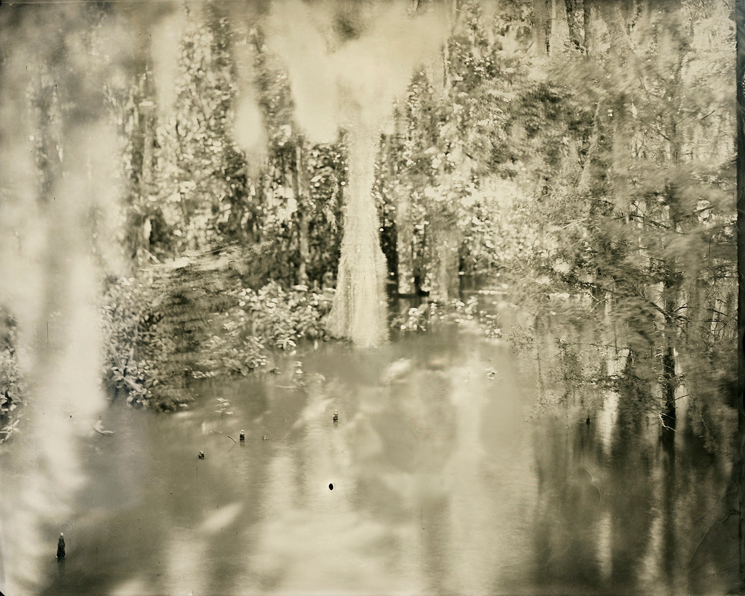 Yojiro Imasaka #65, 2021, Photograph, Toned Gelatine Silver Print Wet Plate Collodion Process 135cm x 168cm