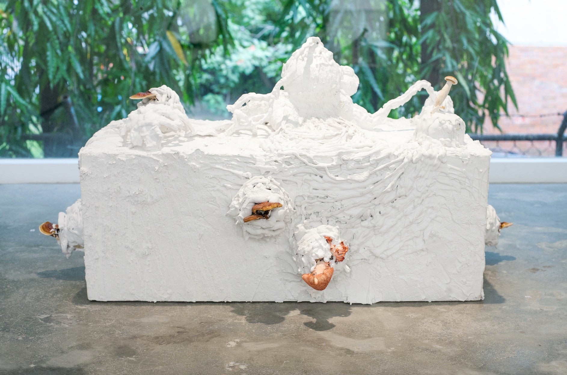 LIM_SAG_Lartucira #13.12_2017_Plaster and mushroom_66 x 91 x 62 cm　Photography courtesy of The Artist, ROH, and Silverlens