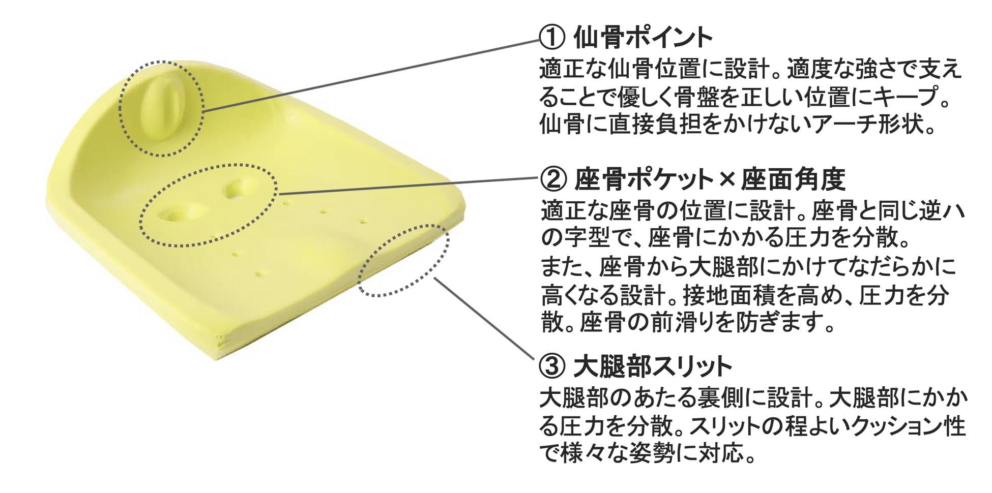 西川の睡眠科学を応用した骨盤サポートクッション『Keeps』が新登場!6