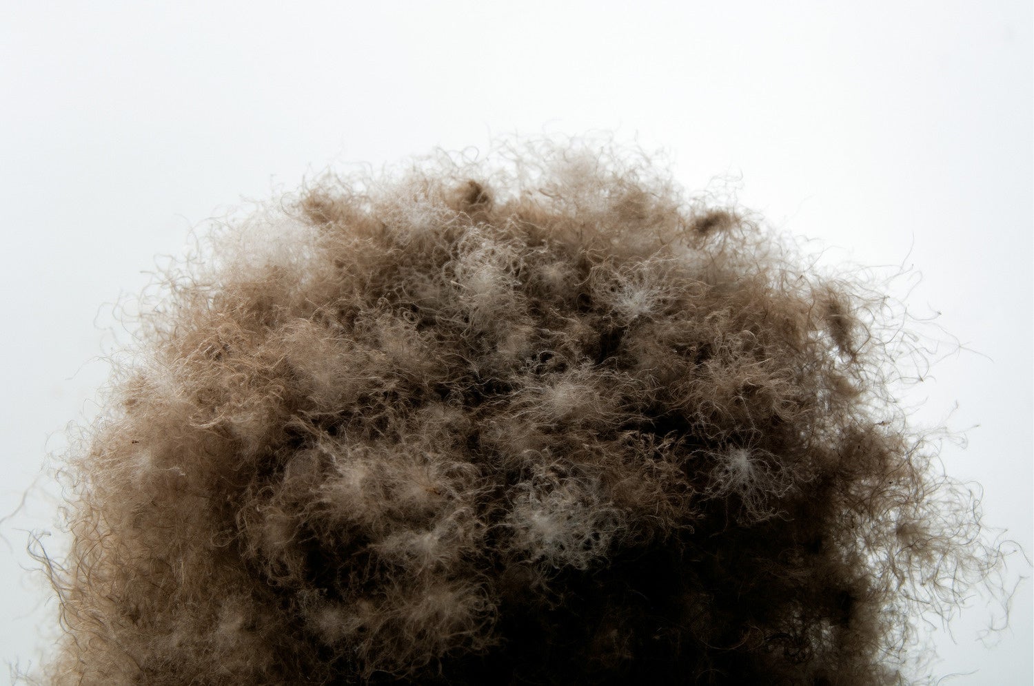 アイダーダウン