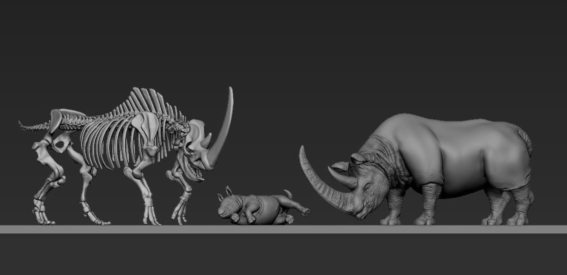 国立科学博物館特別展「化石ハンター展」チベットケサイの3DCGモデル制作