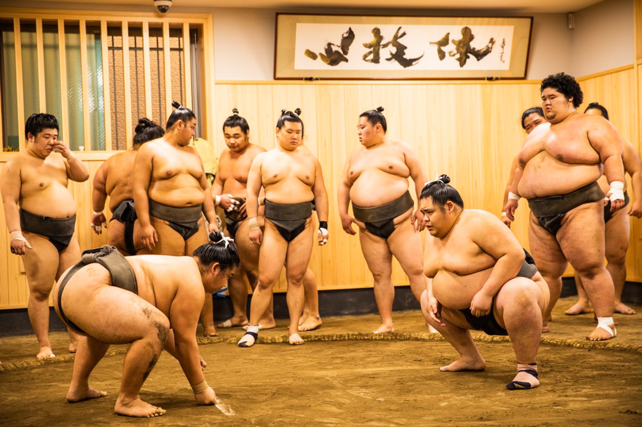 大相撲朝稽古見学体験（東京都）