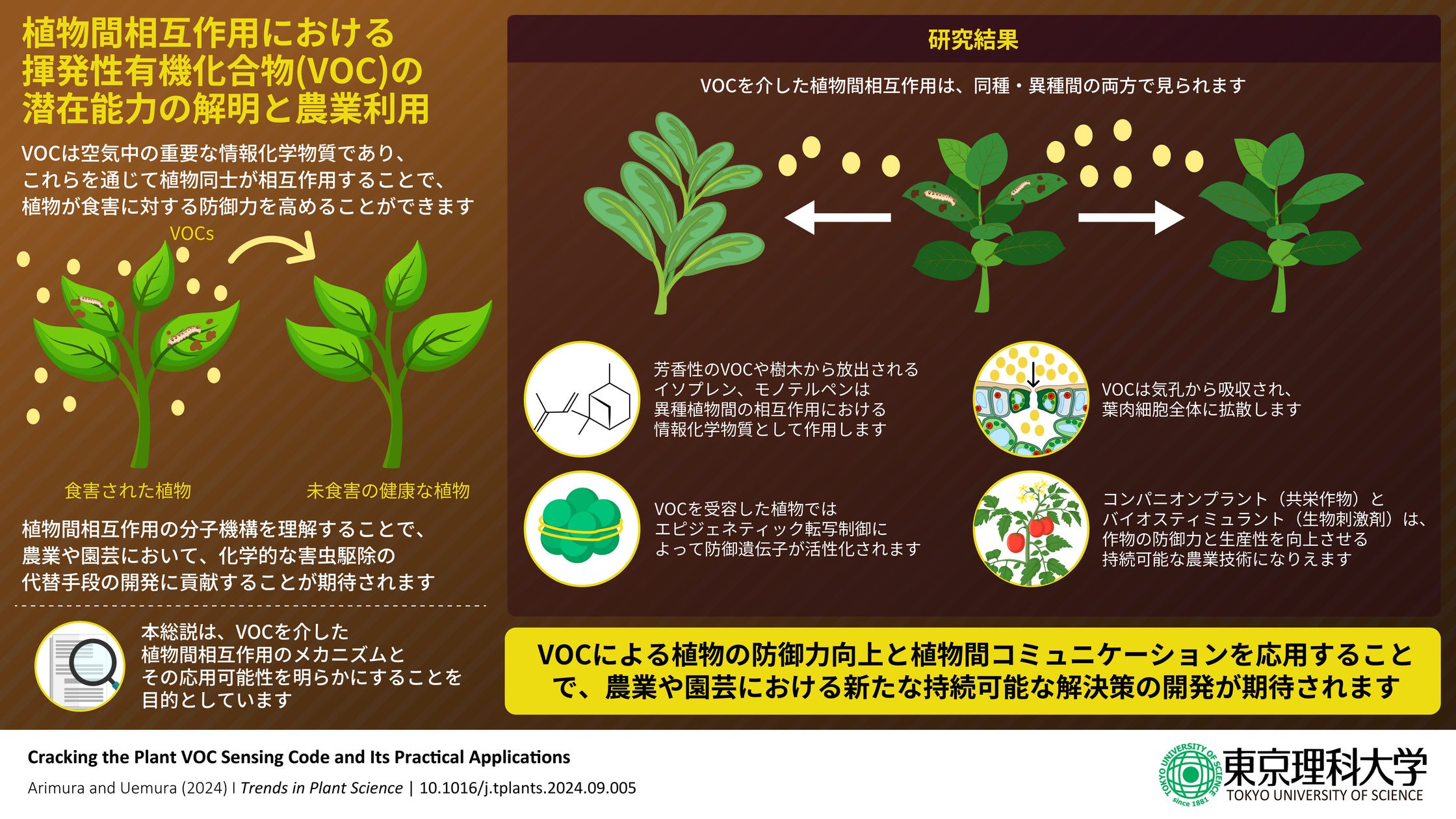 植物における匂い(VOC)の作用と認識メカニズムに迫る ~環境にやさしく 植物における匂い(VOC)の作用と認識メカニズムに迫る ~環境にやさしく