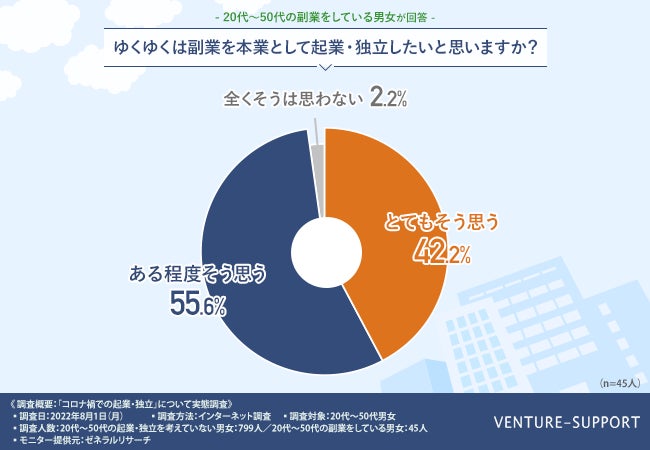 全国20代~50代の副業をしている男女45人を対象に調査を実施
