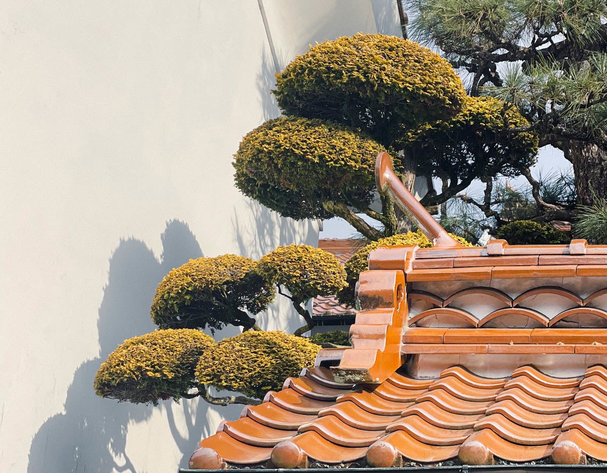 歴史と風情を感じる宿