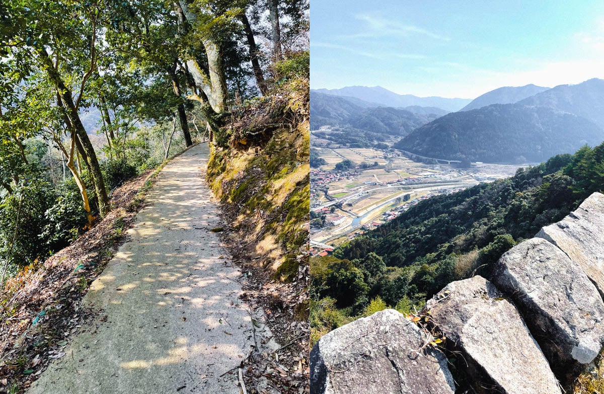 津和野城の高台から眺める町並み