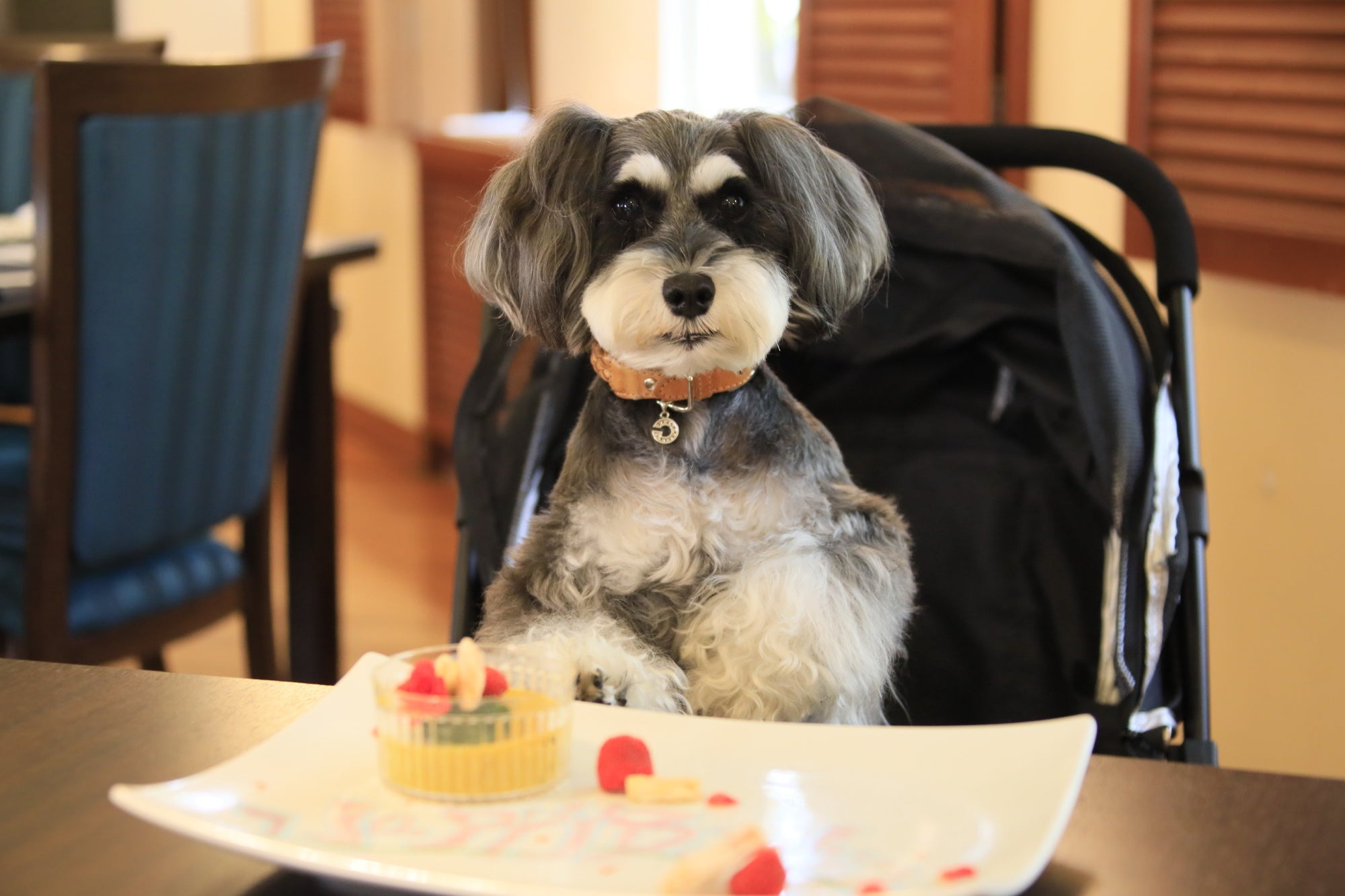 愛犬用メニューもご用意