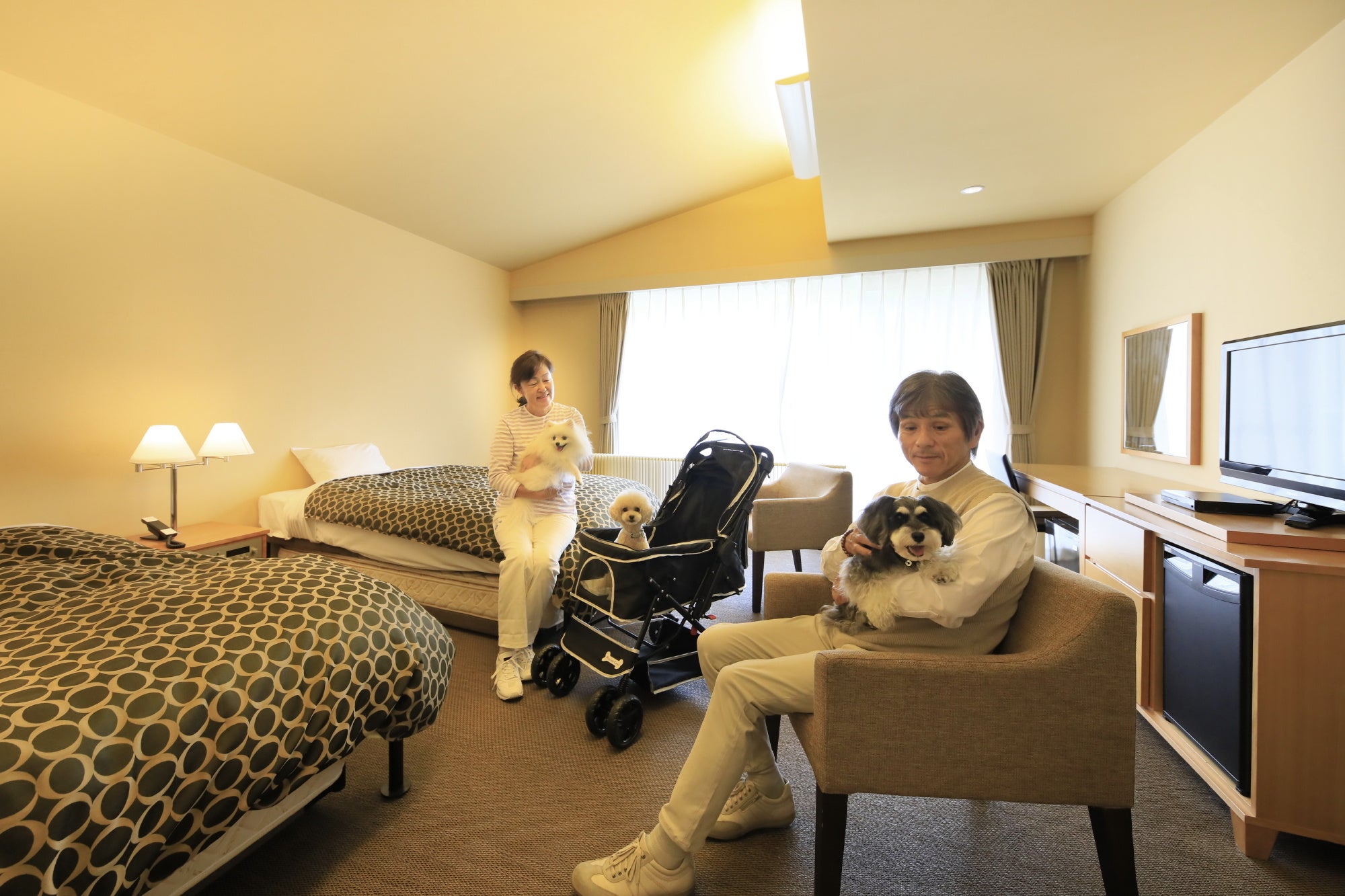 わんちゃんとお部屋でゆったり