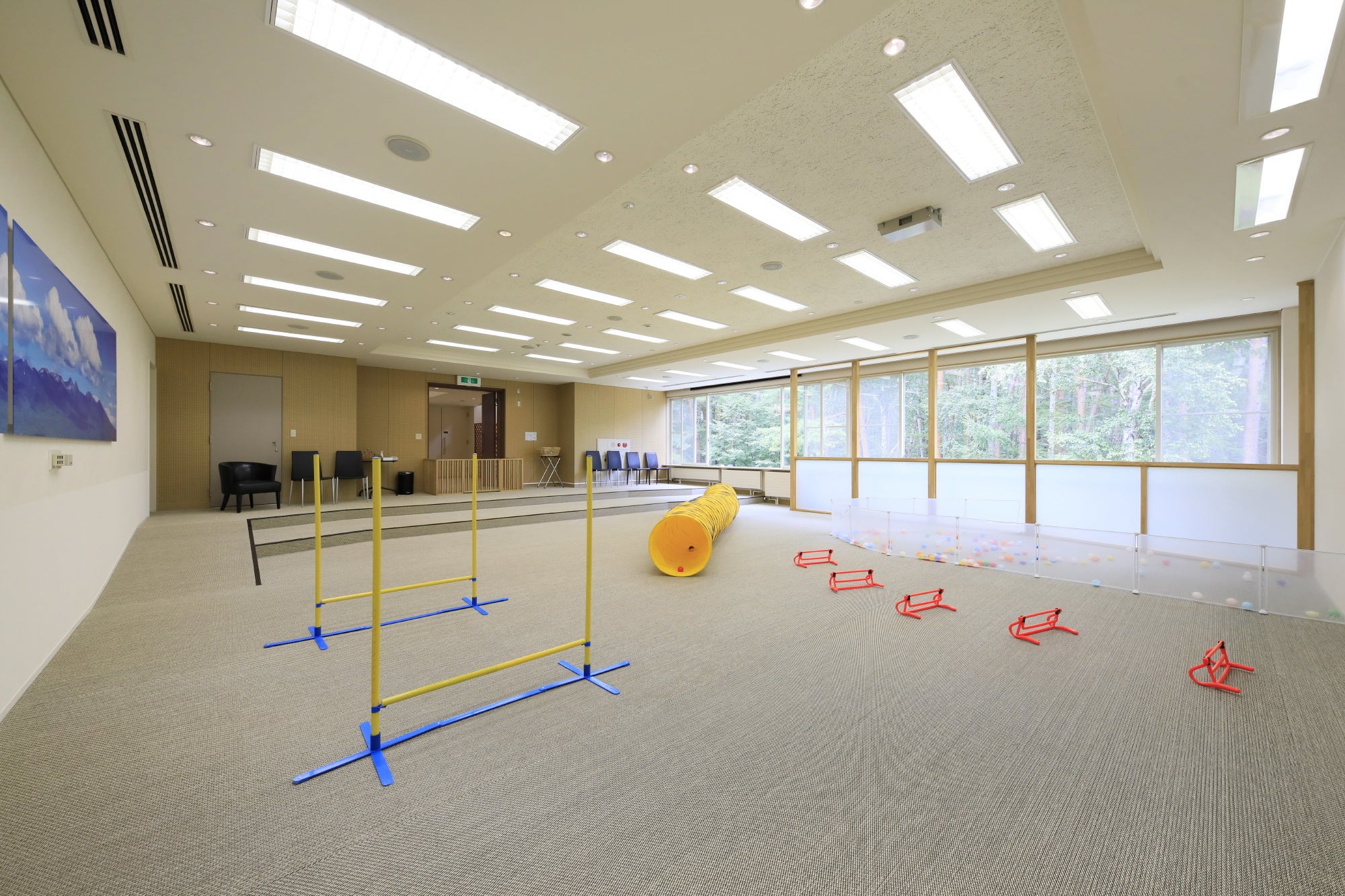 広々とした屋内ドッグラン