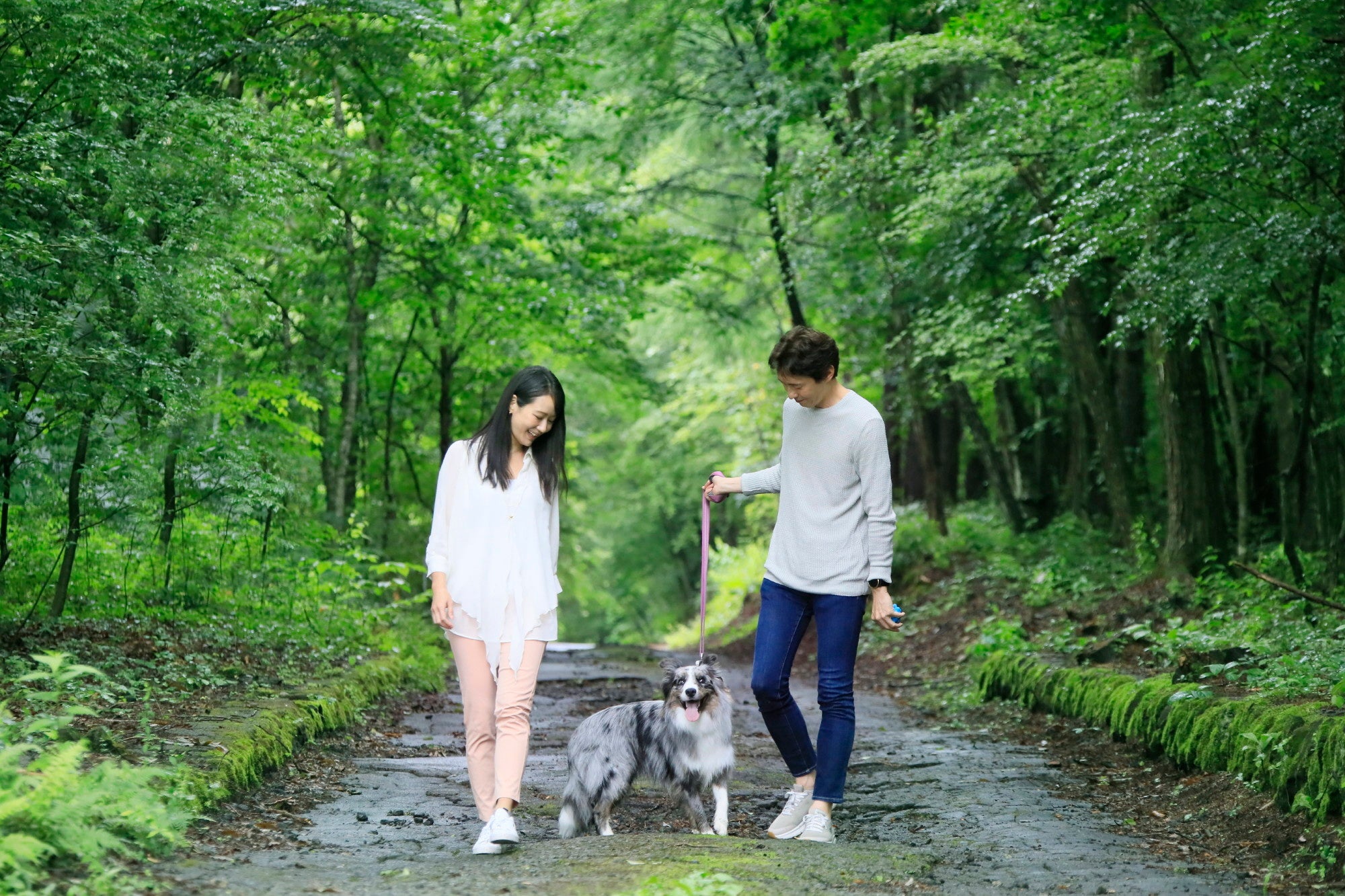 【ゆとりろガーデン北軽井沢with DOGS】ドッグランを三ヶ所ご用意