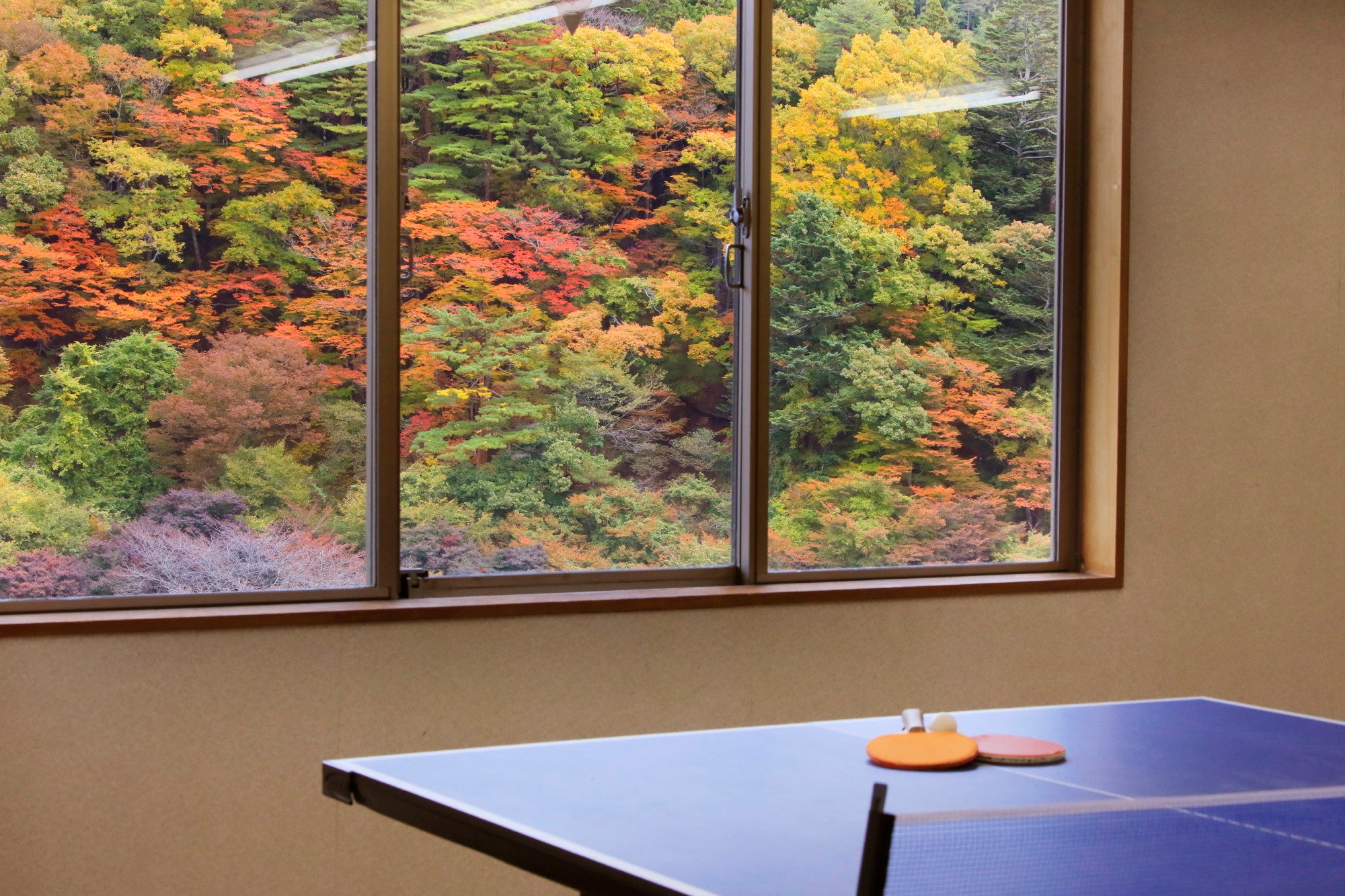 卓球で思い出作り