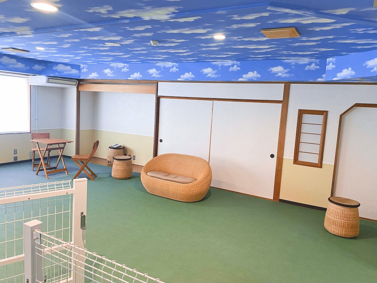 屋内ドッグラン