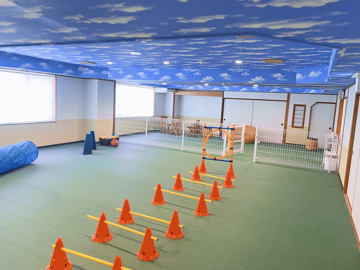 屋内ドッグラン