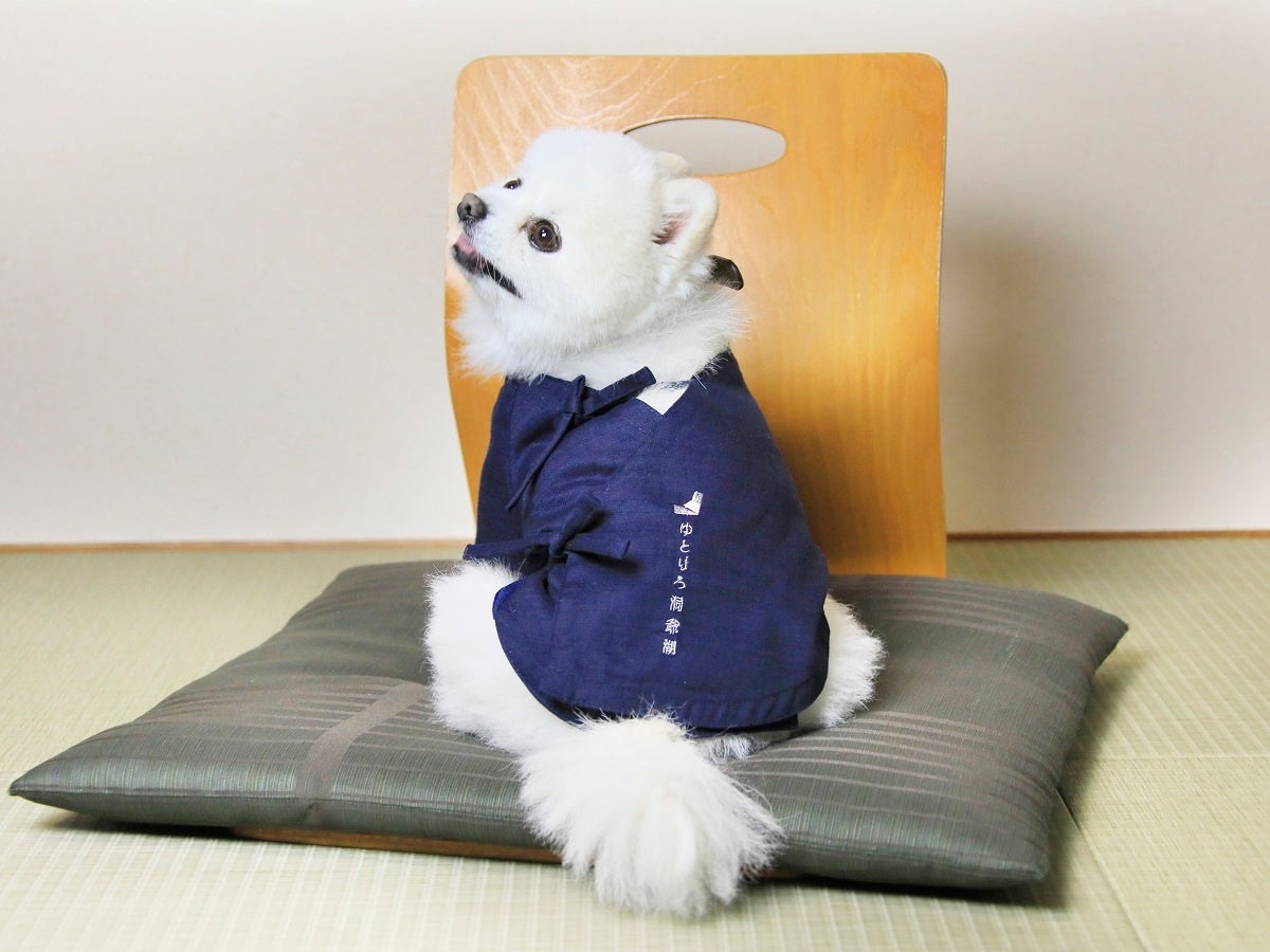 宿オリジナルのワンちゃん用お召しものも