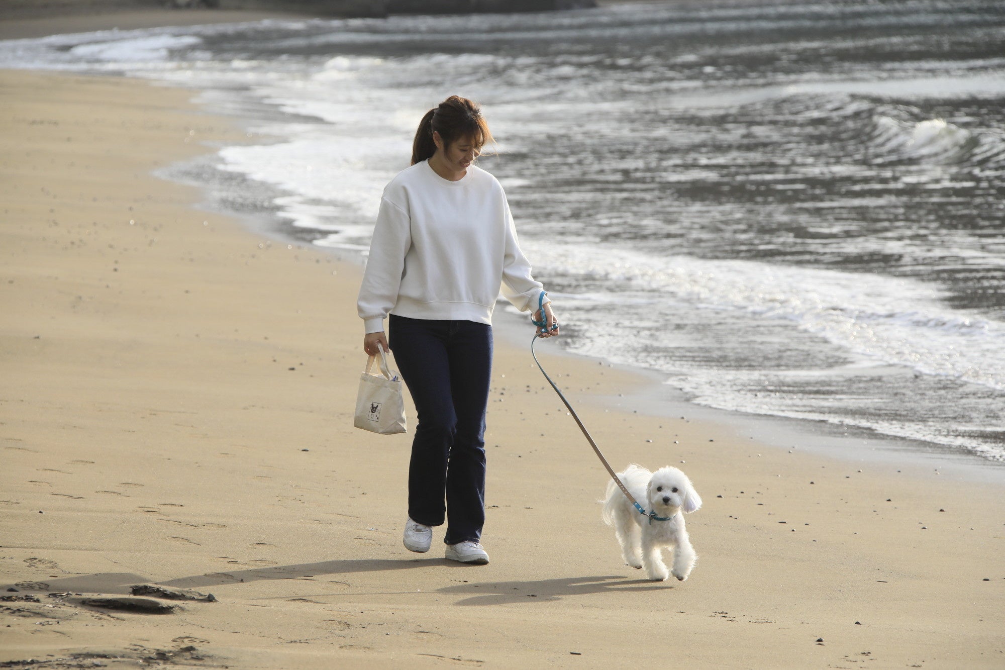 わんちゃんと海辺を散歩