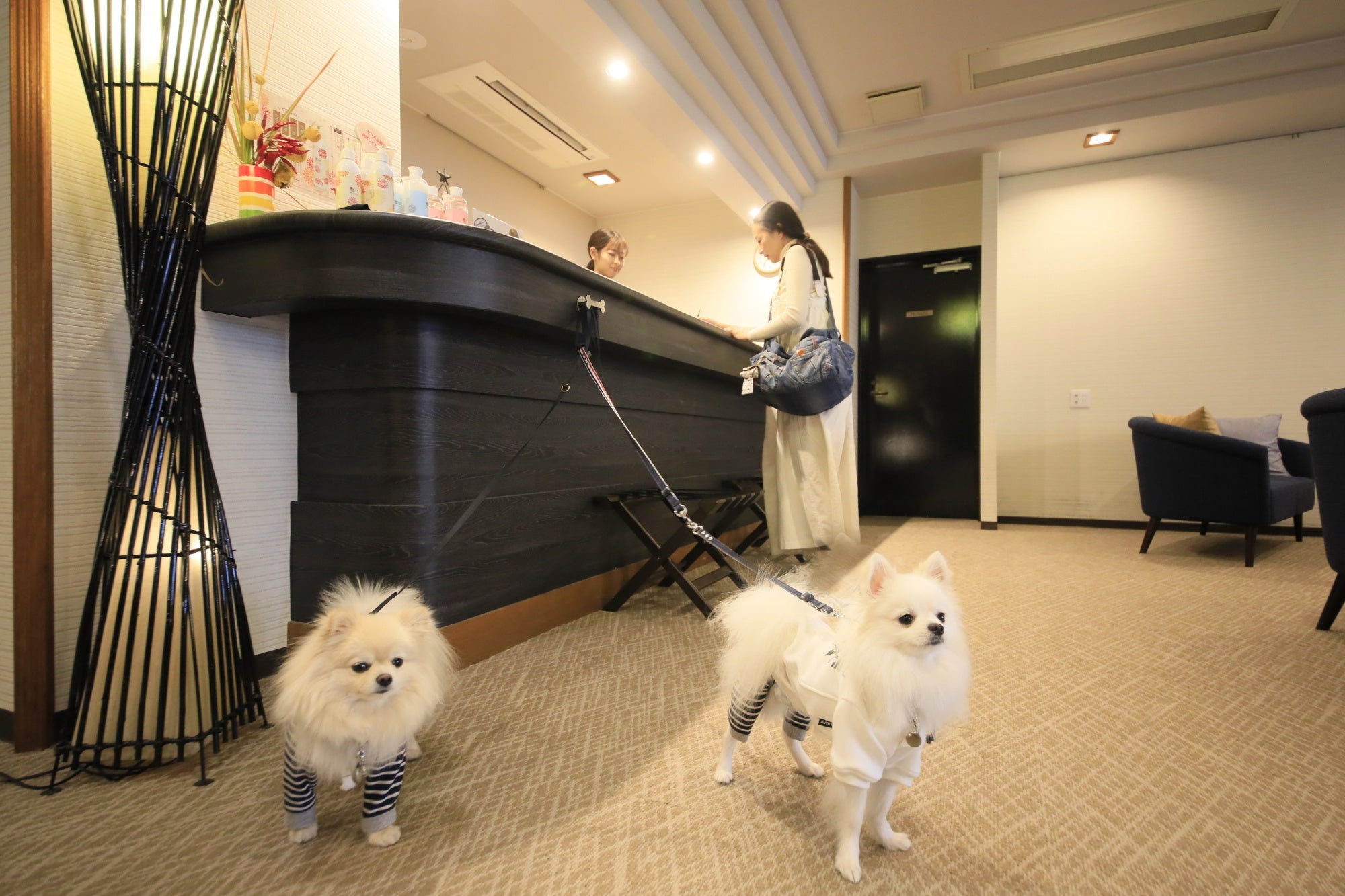 わんちゃんと一緒にチェックイン