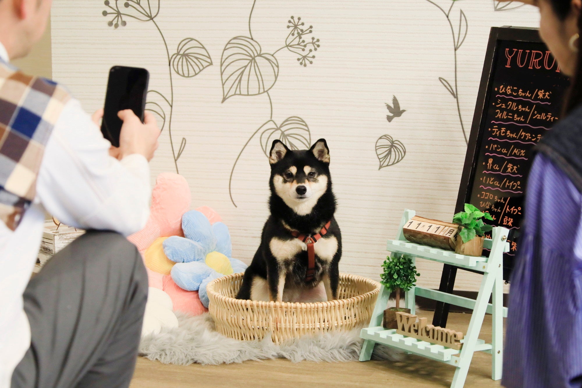 愛犬との旅の思い出に