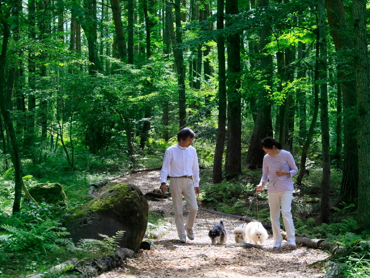 【ゆとりろ蓼科ホテル with DOGS】ウッドチップが敷き詰められた遊歩道