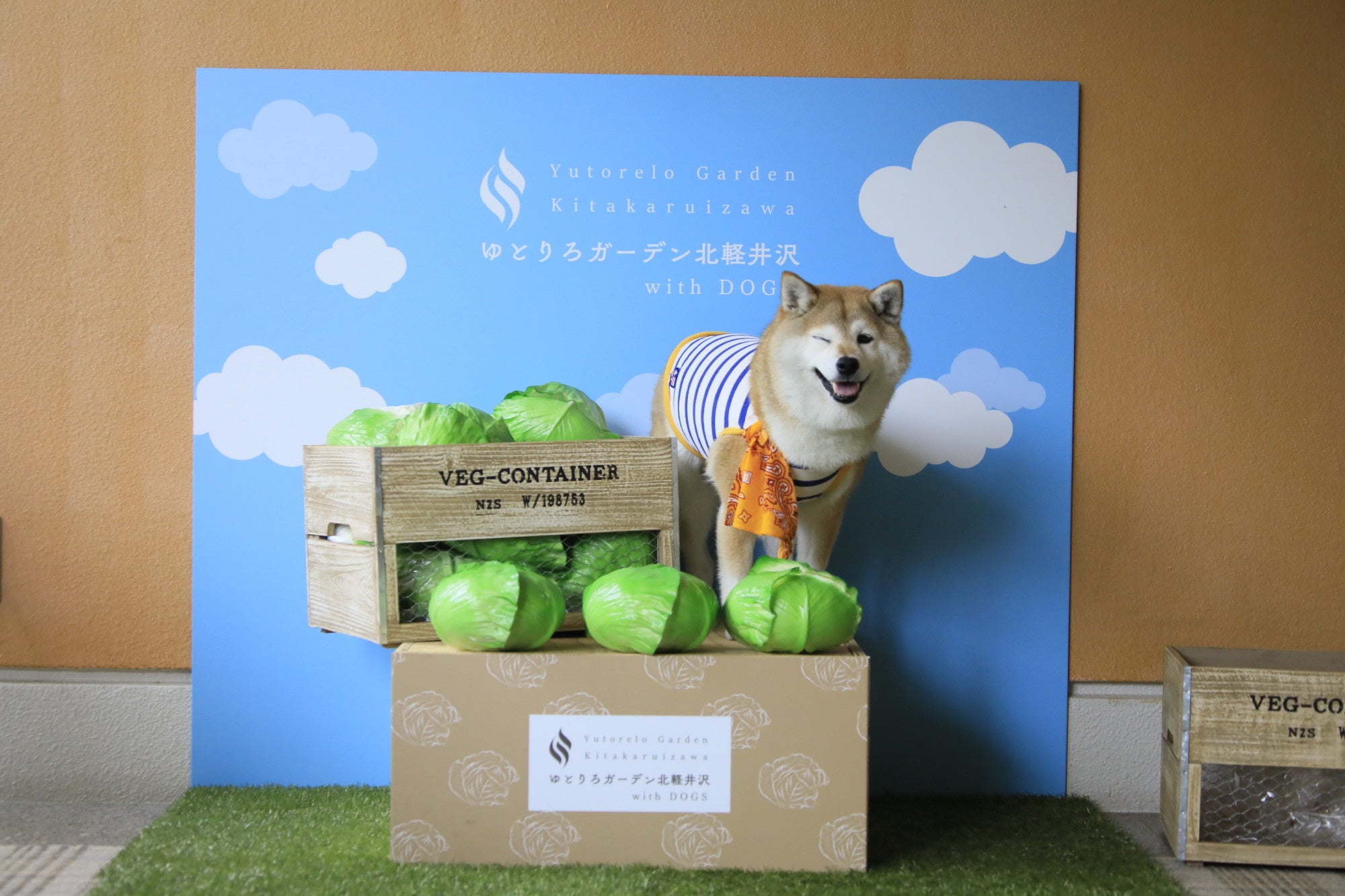 【ゆとりろガーデン北軽井沢】かわいいフォトスポット