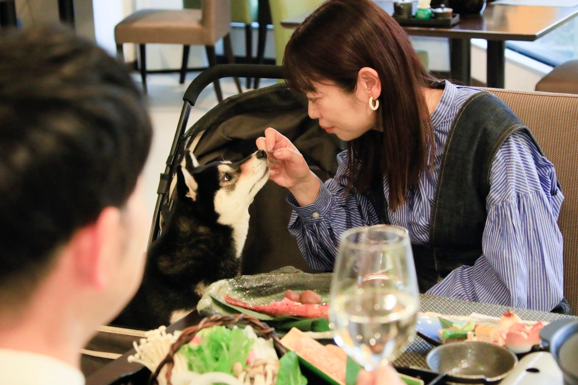 【ゆるり西伊豆】レストランはわんちゃんもお越しいただけます