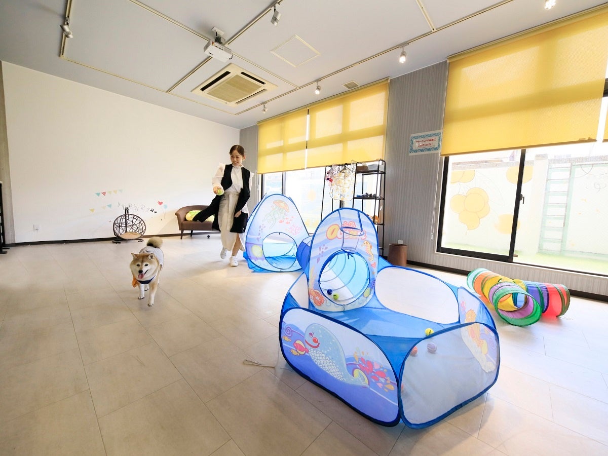 ワンちゃんものびのび