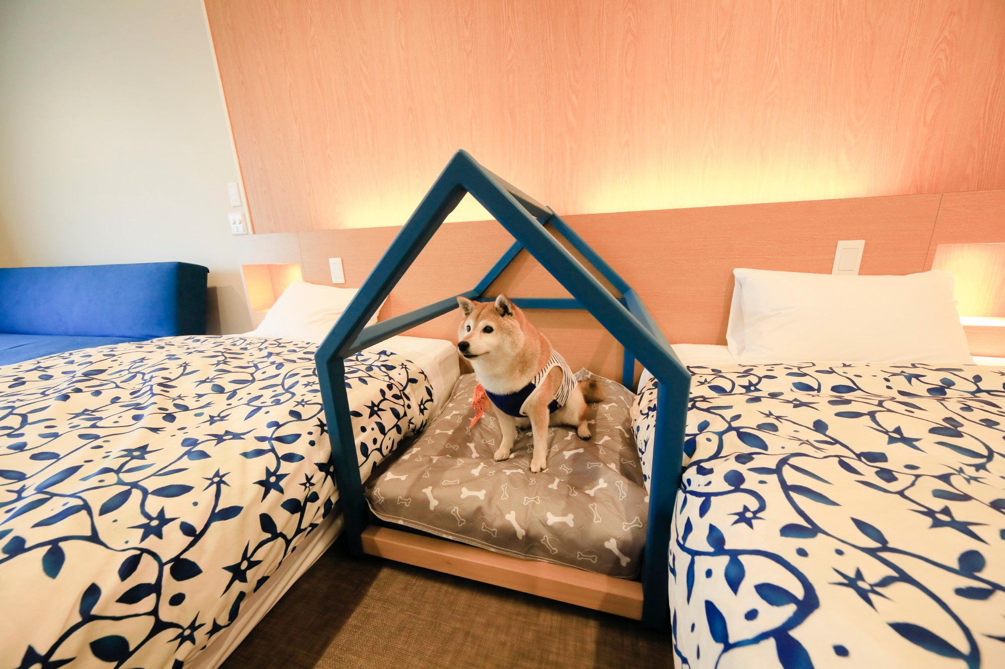 【ゆるり西伊豆】ワンちゃんとお泊まりいただけます