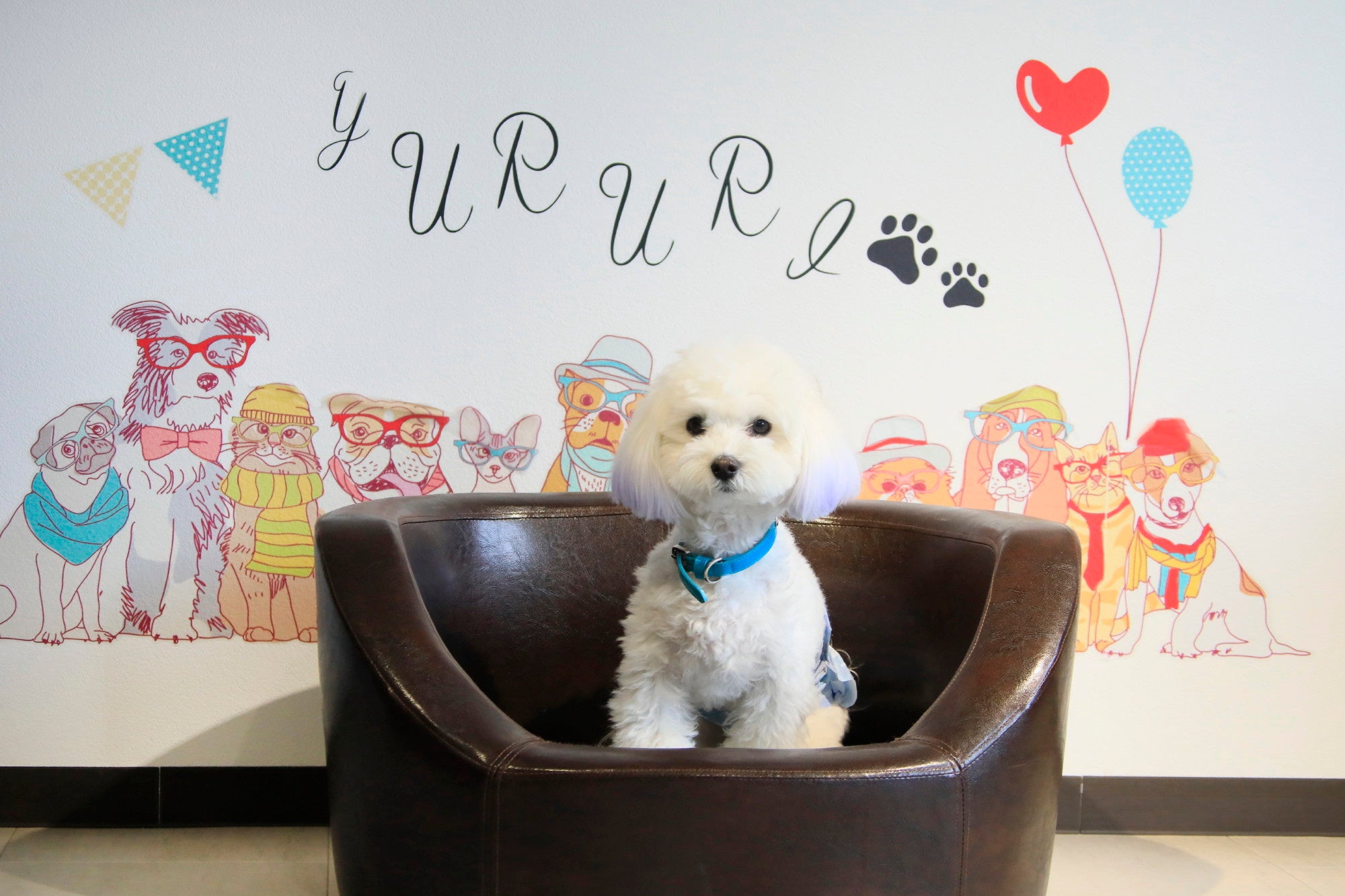 フォトスポット